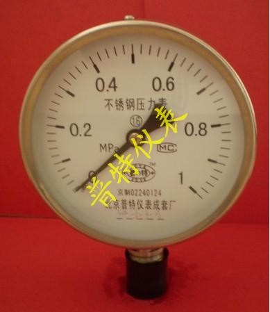 专业生产Y60BF-100BF不锈钢压力表